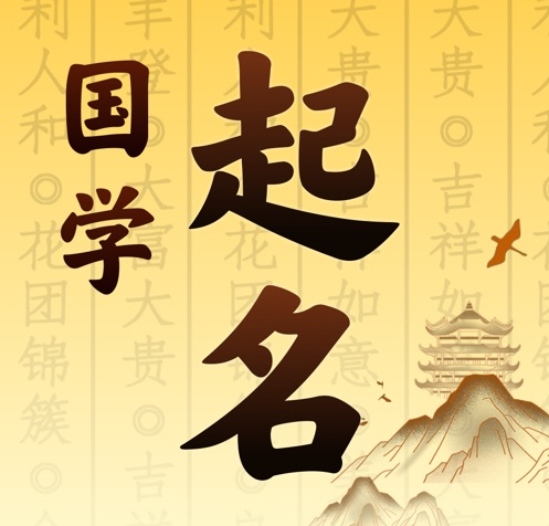 金山国学起名 人工起名一对一